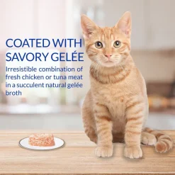 Inaba Twins Tuna & Chicken with Scallop Recipe Grain-Free Cat Food, 1.23-oz