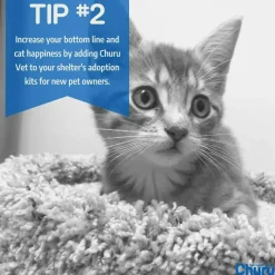 INABA Veterinarian Formula Churu Nourish, Chicken & Tuna Recipe Lickable Treats for Cats