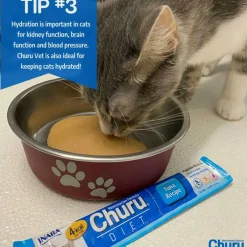 INABA Veterinarian Formula Churu Nourish, Chicken & Tuna Recipe Lickable Treats for Cats