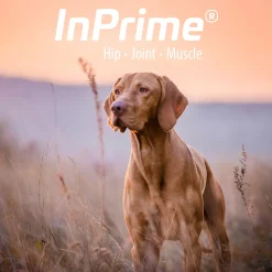 InPrime - Natural Joint Support for Dogs - Helps Maintain Normal Joint Mobility &Function - Supports Hip and Joint for Dogs - Palatable Dog Joint Care - (60 Count)