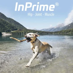 InPrime - Natural Joint Support for Dogs - Helps Maintain Normal Joint Mobility &Function - Supports Hip and Joint for Dogs - Palatable Dog Joint Care - (60 Count)