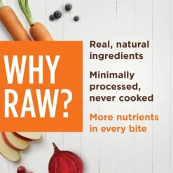 Instinct Raw Boost Mixers Freeze-Dried Raw Chicken Meal Topper for Cats (6 oz)
