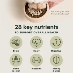 Instinct Raw Boost Mixers Multivitamin Freeze Dried Meal Topper for Adult Dogs