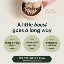 Instinct Raw Boost Mixers Skin & Coat Health Freeze Dried Meal Topper for Dogs