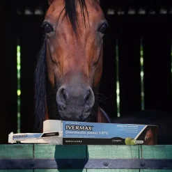 Ivermax Apple flavored Ivermectin Paste For Horses (1.87%) 6.08g