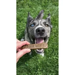 Jiminy's Dental Chews for Medium Dogs (12 ct)