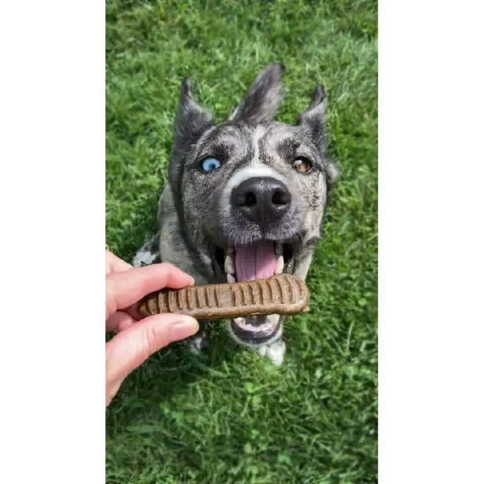Jiminy's Dental Chews for Medium Dogs (12 ct)