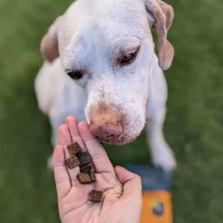 Jiminy's Pumpkin Carrot & Cricket Chewy Training Treats For Dogs (6 oz)