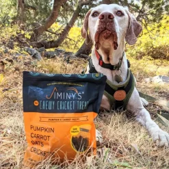 Jiminy's Pumpkin Carrot & Cricket Chewy Training Treats For Dogs (6 oz)