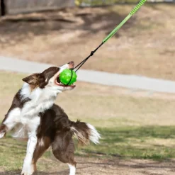 Jolly Pet Tree Tugger Toy For Dogs