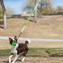 Jolly Pet Tree Tugger Toy For Dogs
