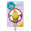 JW Pet ActiviToys Ring Clear Small/Medium Bird Toy, Assorted Colors
