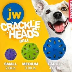 JW Pet Crackle Heads Ball Toy For Dogs- Assorted Colors