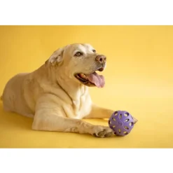 JW Pet Crackle Heads Ball Toy For Dogs- Assorted Colors