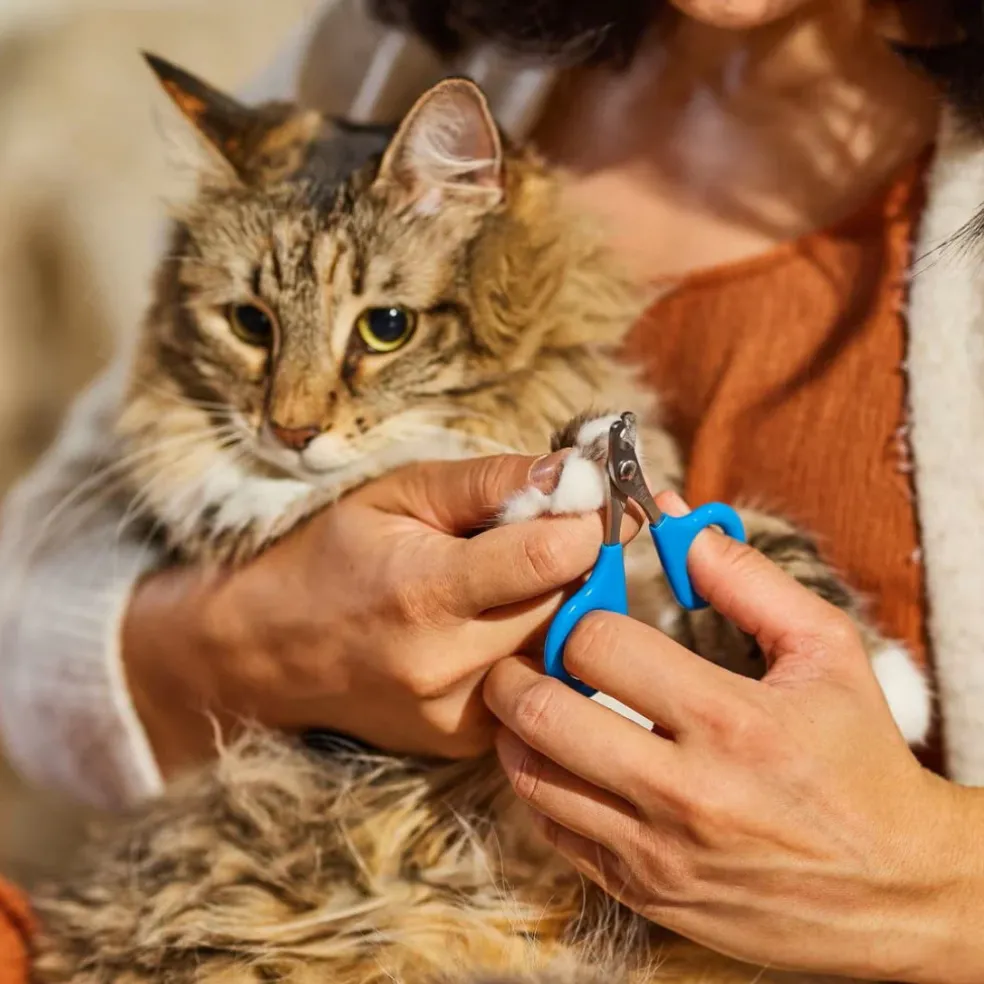 JW Pet Gripsoft Nail Clipper For Cats