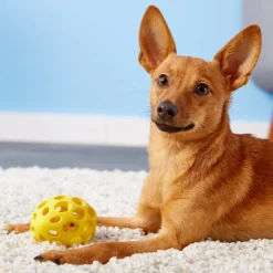 JW Pet Hol-ee Football Toy For Dogs - Assorted Colors
