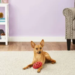 JW Pet Hol-ee Football Toy For Dogs - Assorted Colors