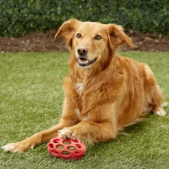 JW Pet Hol-ee Football Toy For Dogs - Assorted Colors