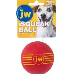 JW Pet iSqueak Ball Toy For Dogs- Assorted colors