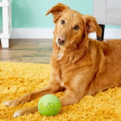 JW Pet iSqueak Ball Toy For Dogs- Assorted colors