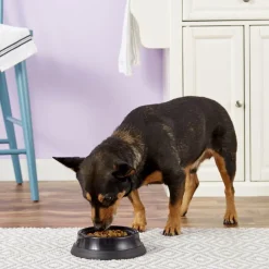 JW Pet Skid Stop Heavyweight Dog Bowl, Assorted Colors