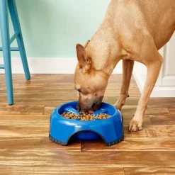 JW Pet Skid Stop Slow Feed Dog Bowl, Assorted Colors