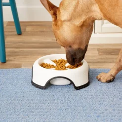 JW Pet Skid Stop Slow Feed Dog Bowl, Assorted Colors
