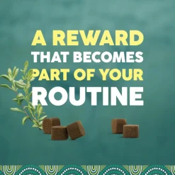 Karoo Wild Treats for Dogs