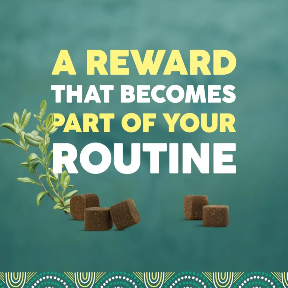 Karoo Wild Treats for Dogs