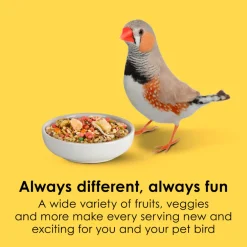 Kaytee Fiesta Canary & Finch Bird Food (2 lb)