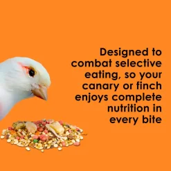 Kaytee Fiesta Canary & Finch Bird Food (2 lb)