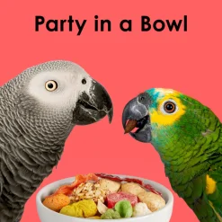 Kaytee Fiesta Parrot Bird Food