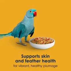 Kaytee Forti-Diet Pro Health Egg-Cite! Parakeet Bird Food (5 lb)