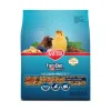 Kaytee Forti-Diet Pro Health Nourish+Protect Canary & Finch Bird Food (2 lb)