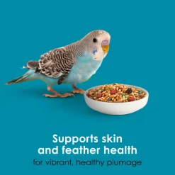 Kaytee Forti-Diet Pro Health Nourish+Protect Parakeet Bird Food