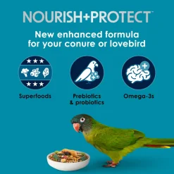 Kaytee Forti-Diet Pro Health Nourish+Protect Conure & Lovebird Bird Food (4 lb)