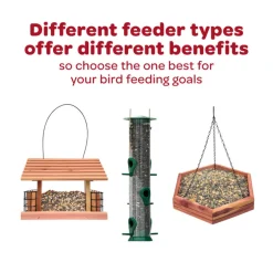Kaytee Honey Seed Treat Bell for Wild Birds (1 lb)