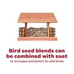 Kaytee Nut & Fruit Treat Bell for Wild Birds (15 oz)