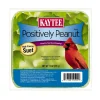 Kaytee Positively Peanut High Energy Suet for Wild Birds (11 oz)