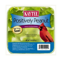 Kaytee Positively Peanut High Energy Suet for Wild Birds (11 oz)