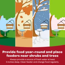 Kaytee Seed & Mealworm Treat Cake for Wild Birds (6 oz)