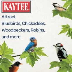 Kaytee Seed & Mealworm Treat Cake for Wild Birds (6 oz)