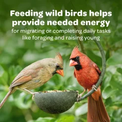 Kaytee Sunflower Treat Bell for Wild Birds (10 oz)