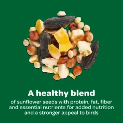 Kaytee Wild Bird Food Basic Blend (10 lb)