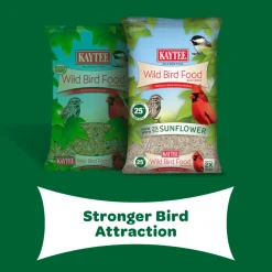 Kaytee Wild Bird Food Basic Blend (10 lb)
