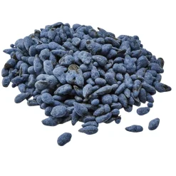 Kaytee Yo Dips Sunflower Seeds Blueberry Flavored Bird Treats (2.5 oz)