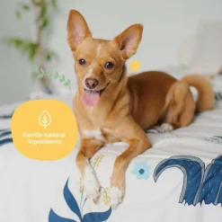 kin+kind Almond & Vanilla Coat Spray for Dog Smells (12 oz)