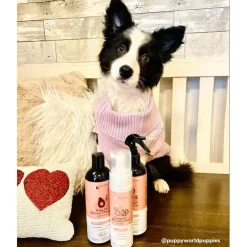 kin+kind Energizing Grapefruit Waterless Bath Cleansing Foam for Dogs (8 oz)
