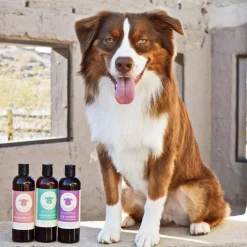 kin+kind Itchy Organics Fig & Cedar Oatmeal Shampoo for Dogs (12 oz)