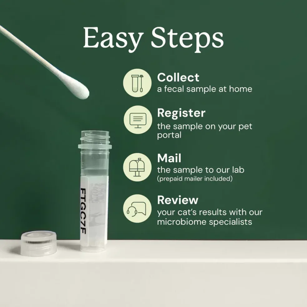 Kitty Biome At-Home Kit Gut Microbiome Test for Cats